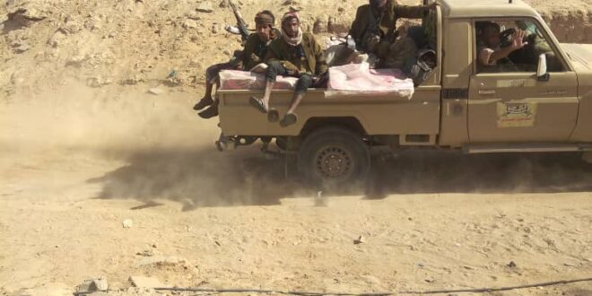 قوات الجيش والعمالقة تستكمل تحرير "النقوب" غربي شبوة والتقدم نحو بيحان وسط فرار جماعي لعناصر لمليشيا الحوثي