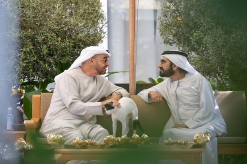 ماهي قصة القطة "المرموم" التي جذبت الأنظار في لقاء رئيس الإمارات محمد بن زايد ونائبه 
