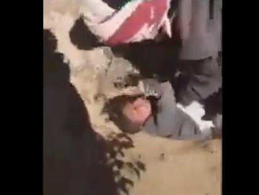 جريمة شنيعة ووحشية هزت مديرية أرحب في صنعاء وفيديو الفضيحة ينتشر كالنار في الهشيم (تفاصيل )