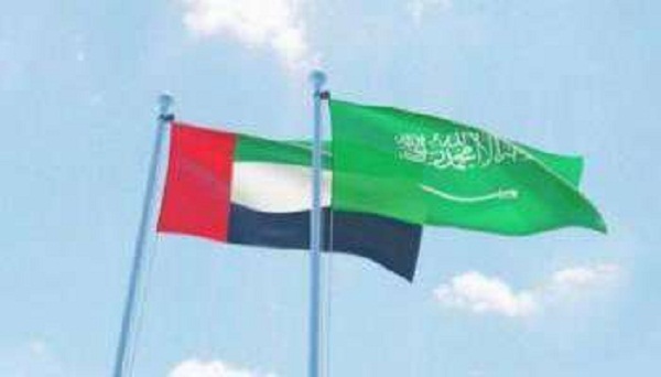 الإمارات تكشف رسميا حقيقة حدوث خلافات بينها وبين السعودية   