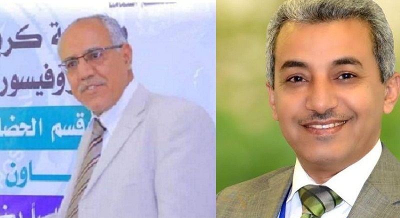 " الكميم ".. يعلق علي اعتقال الحوثيين أستاذ جامعي بصنعاء..ماذا قال ؟؟ 